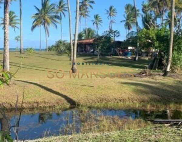 Lote Pé na Areia em Ilhéus - 6.000m² de Puro Encanto e Potencial de Investimento!